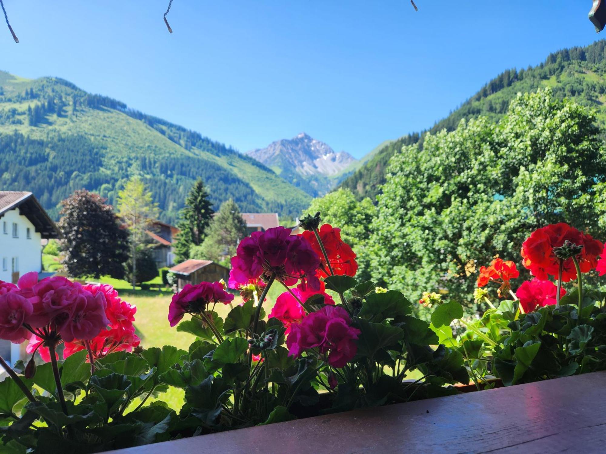Am Muehlbach - Ferienwohnungen Luttinger Bichlbach Esterno foto